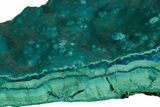 Teal Botryoidal Chrysocolla and Malachite - Chile #310139-1